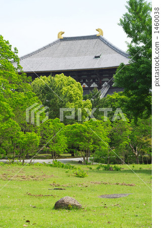 新鮮的季節奈良公園 新鮮的季節奈良公園 1460038