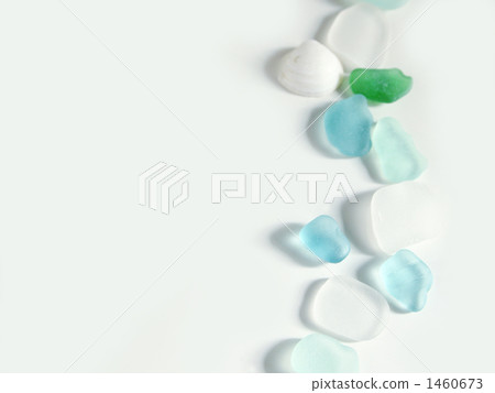 海草和貝殼 1460673