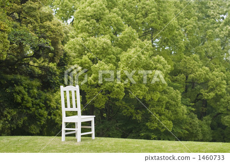 草地 草坪 椅子 1460733