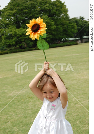 A child of a half with sunflower A child of a half with sunflower 1461077