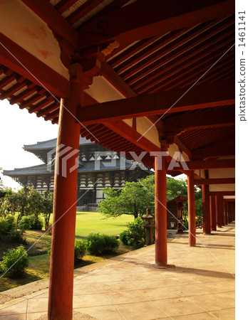 東大寺 東大寺 1461141