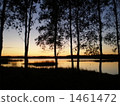 Estonian dusk lakes 1461472