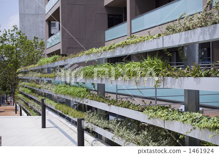 wall greening, eco, ecology 1461924