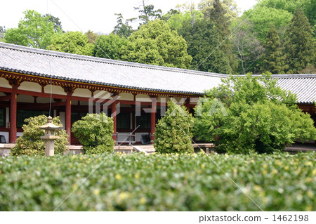 東大寺 東大寺 1462198