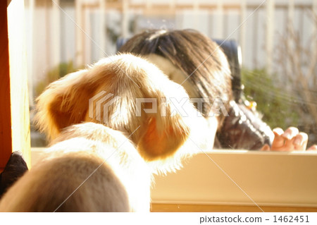 Welcome back Welcome back 1462451