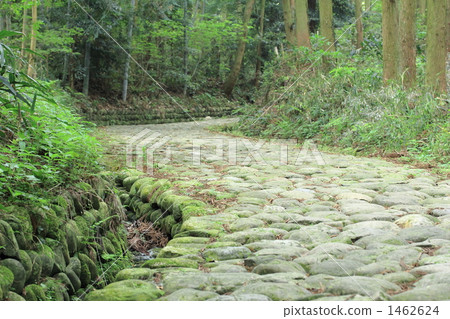 Old Tokaido cobblestone Old Tokaido cobblestone 1462624