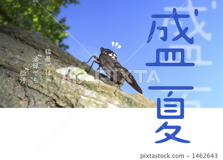 炎熱的夏天慶祝 炎熱的夏天慶祝 1462643