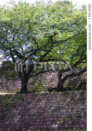 Ishigaki of Kanazawa castle Ishigaki of Kanazawa castle 1462890