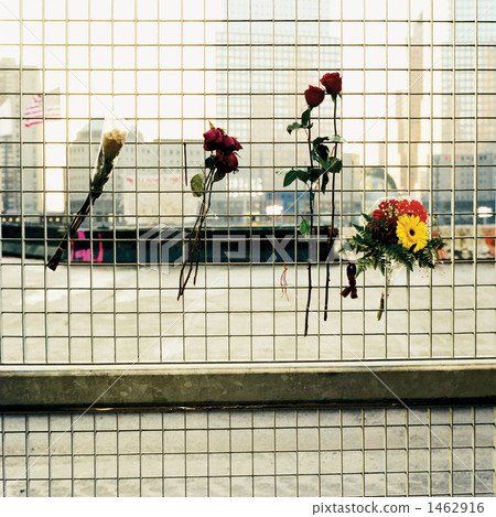 接地零點 接地零點 1462916