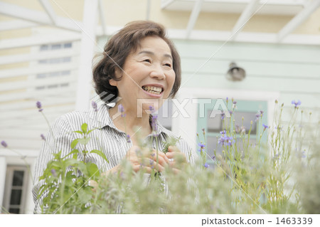 senior, female, females 1463339