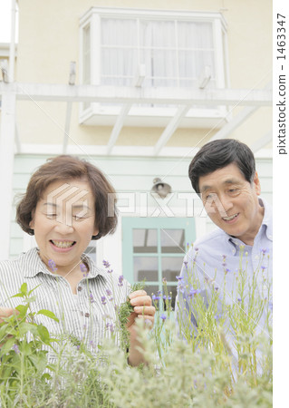 年長 人物 夫婦 1463347