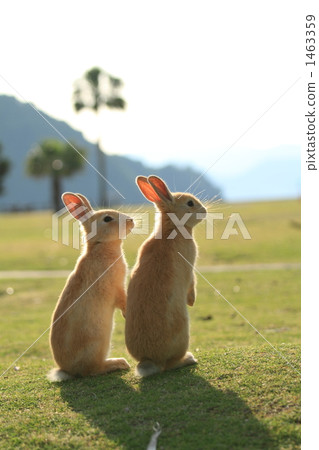 Song of the child 1463359