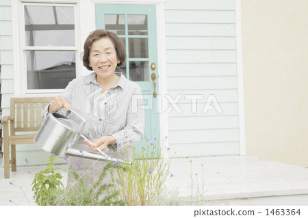 senior, female, females 1463364