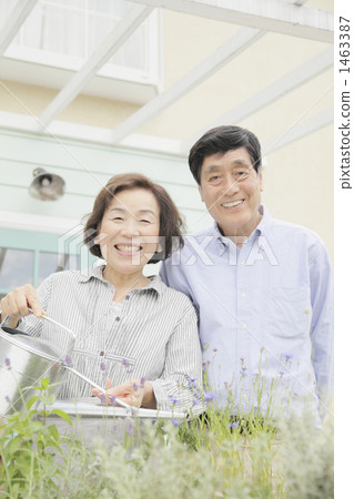 人生黃金期 男子氣概 黃金 1463387