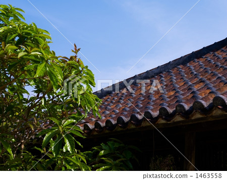 花園樹 房屋 民居 1463558