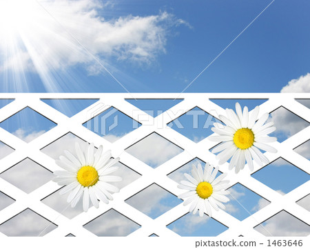 flower bed flower bed 1463646