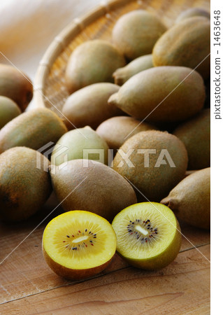 gold kiwi 1463648