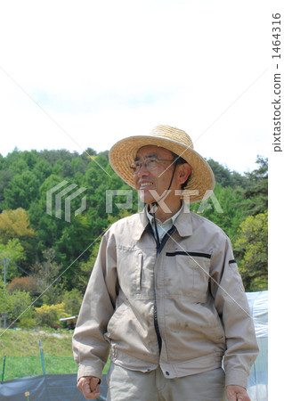 图库照片 老人 草帽 男性