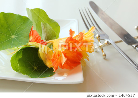 Edible Flower G 1464537