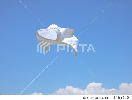 留白空間 留白部分 空白部分 1465420