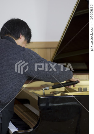 wedge, tuning, mute 1465623