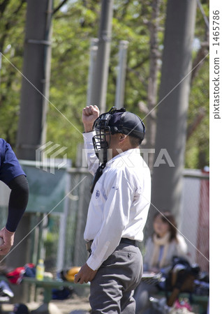 Grass baseball umpire image 1465786