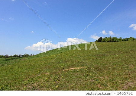 Picnic Hill 1465791