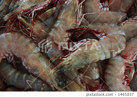 prawn, shrimp, fish market 1465837