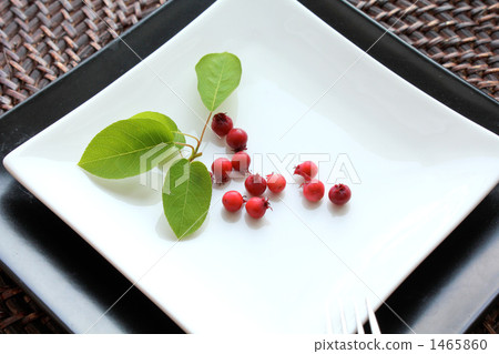 Plate and June Belly 1465860