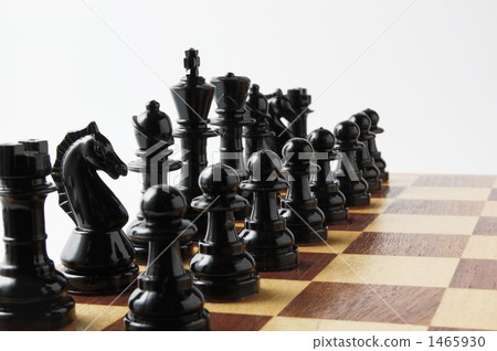 queen, foal, piece in shogi 1465930