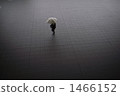 下雨 雨 多雨 1466152