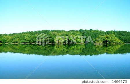 Clear lake and forest and blue sky Clear lake and forest and blue sky 1466273