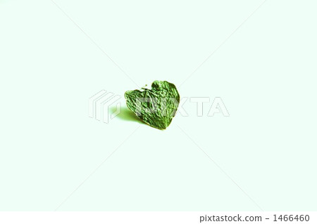 心型十字褡 綠葉 心 1466460