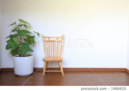 foliage plant, chair, chairs 1466620