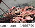 Grilled meat 1466750