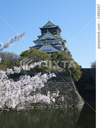 Osaka Castle castle tower in spring 1466887