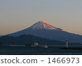 First fuji 1466973