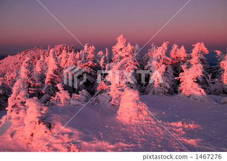Ice cubes stained in the sunset 1467276