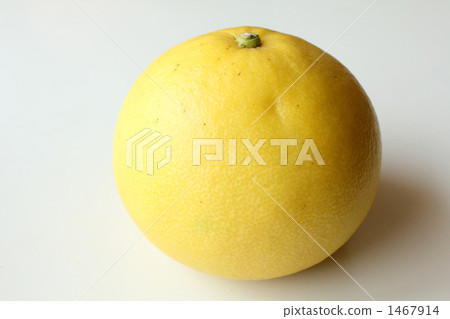 珍珠C. 珍珠C. 1467914