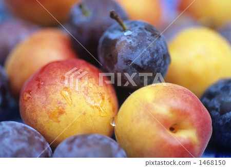 Summer fruits 1468150