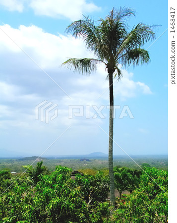 從Amanjiwo查看 1468417