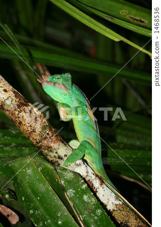 prayer prayer 1468536