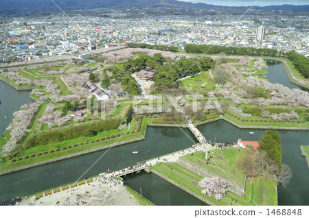 Bird's eye view of Goryokaku Park 1468848