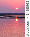 Rice planting 1468962