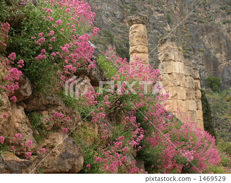 World Heritage "Archaeological Site of Delphi" "Apollon Temple" (Greece) 1469529