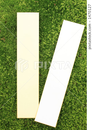 Strips on snatch 1470127
