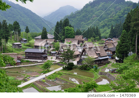 Spring of Gokayama 1470369