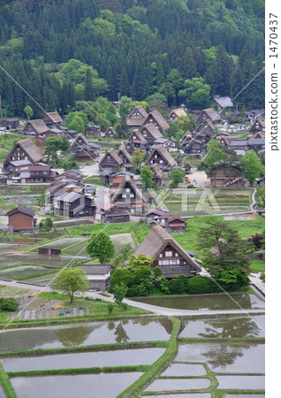 Spring Shirakawa Town 1470437