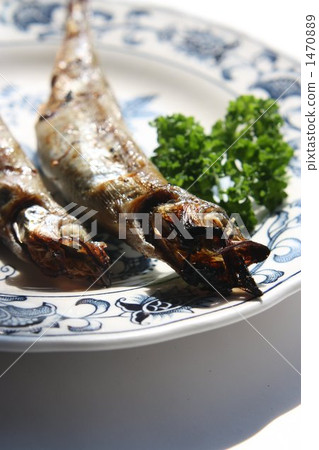 shishamo, shishamo smelt, pregnant shishamo 1470889