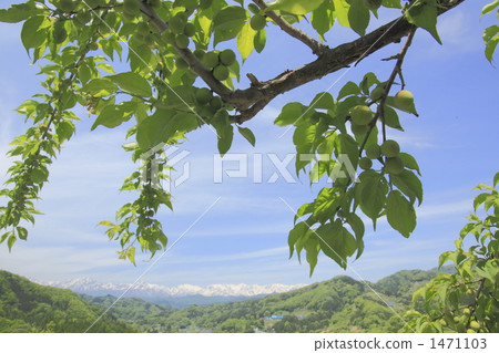 Northern Alps hoping from Nakajo village 1471103